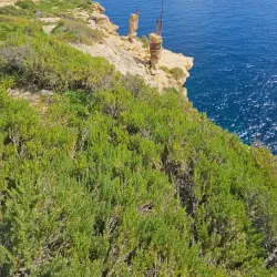 Fort Benghisa - Birzebbuga