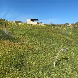 Fort Benghisa - Birzebbuga