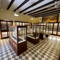 Għar Dalam Cave and Museum - Birzebbuga