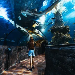 Malta National Aquarium - Bugibba