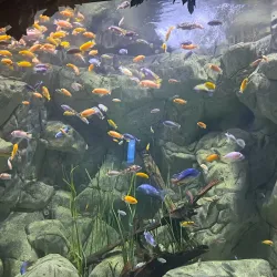 Malta National Aquarium - Bugibba