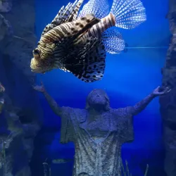 Malta National Aquarium - Bugibba