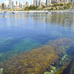 St. Paul's Bay - Bugibba