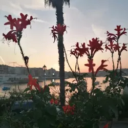 St. Paul's Bay - Bugibba