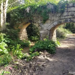 Buskett Gardens - Dingli