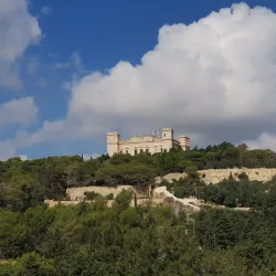 Buskett Gardens - Dingli