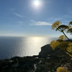 Dingli Cliffs - Dingli