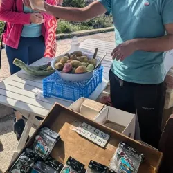 Dingli Local Artisan Shops - Dingli