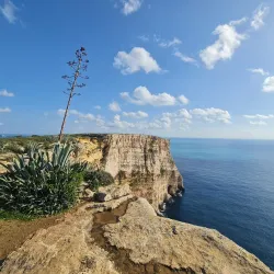 Ta' Cenc Cliffs - Ghasri