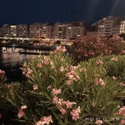 Exiles Beach - Gzira