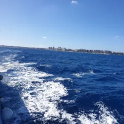 Sliema Ferries - Gzira