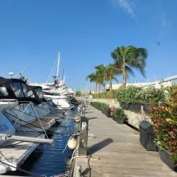 Ta' Xbiex Yacht Marina - Gzira