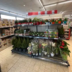 Luqa Local Market - Luqa