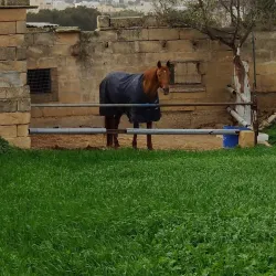Luqa Old Town - Luqa