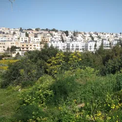 Wied il-Ghajn Nature Reserve - Marsascala
