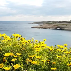 Marsaxlokk Bay - Marsaxlokk