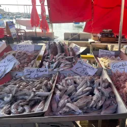 Marsaxlokk Waterfront Promenade - Marsaxlokk