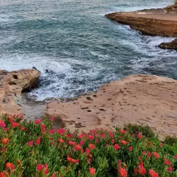 St. Peter's Pool - Marsaxlokk