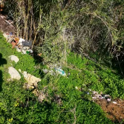 Armier Bay - Mellieha