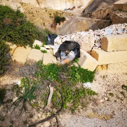 Armier Bay - Mellieha