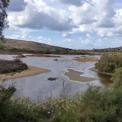Għadira Nature Reserve - Mellieha