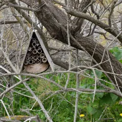 Għadira Nature Reserve - Mellieha