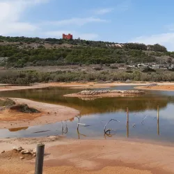 Għadira Nature Reserve - Mellieha