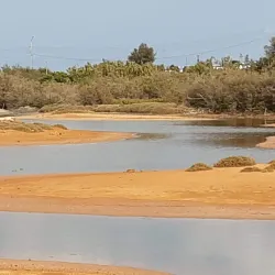 Għadira Nature Reserve - Mellieha