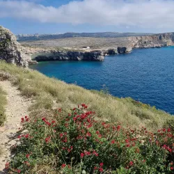 Għadira Nature Reserve - Mellieha