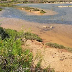 Għadira Nature Reserve - Mellieha