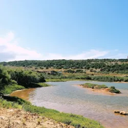 Għadira Nature Reserve - Mellieha