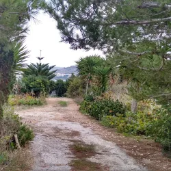 Selmun Palace - Mellieha