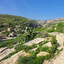 Mgarr ix-Xini Bay - Mgarr