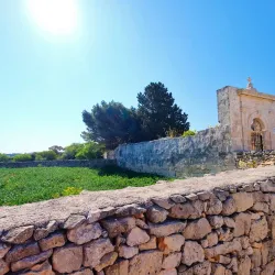 Parish Church of the Assumption of Mary - Mqabba