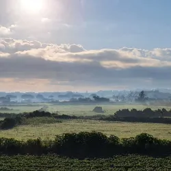 Village Festa Celebrations - Mqabba