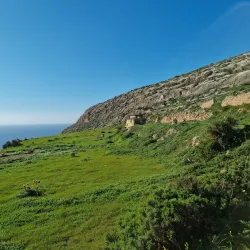 Ta' Ċenċ Cliffs (nearby) - Naxxar