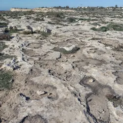 Ta' Ċenċ Cliffs (nearby) - Naxxar