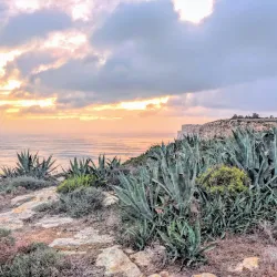 Ta' Ċenċ Cliffs (nearby) - Naxxar