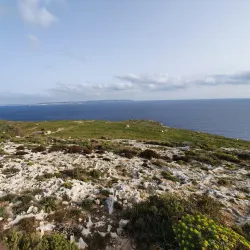 Ta' Ċenċ Cliffs (nearby) - Naxxar