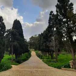 Mediterranean Gardens - Pembroke