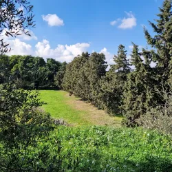 Mediterranean Gardens - Pembroke