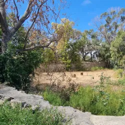 Mediterranean Gardens - Pembroke