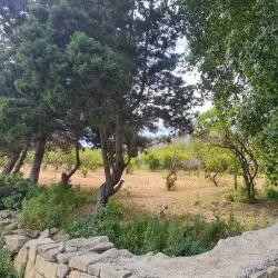 Mediterranean Gardens - Pembroke