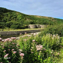 Pembroke Coastal Walk - Pembroke