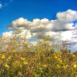 Pembroke Heritage Trail - Pembroke