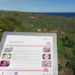 Pembroke Heritage Trail - Pembroke