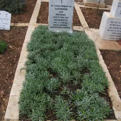 Pembroke Military Cemetery - Pembroke
