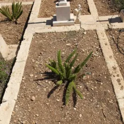 Pembroke Military Cemetery - Pembroke