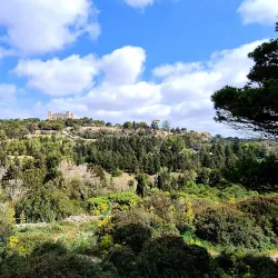 Buskett Gardens - Rabat