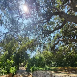 Buskett Gardens - Rabat